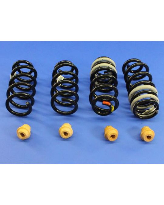 Mopar Performance Lowering Springs