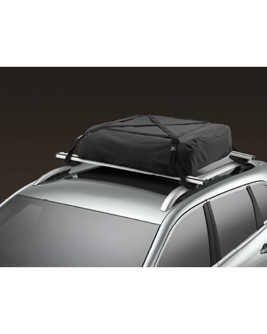 Mopar Roof Cargo Carrier