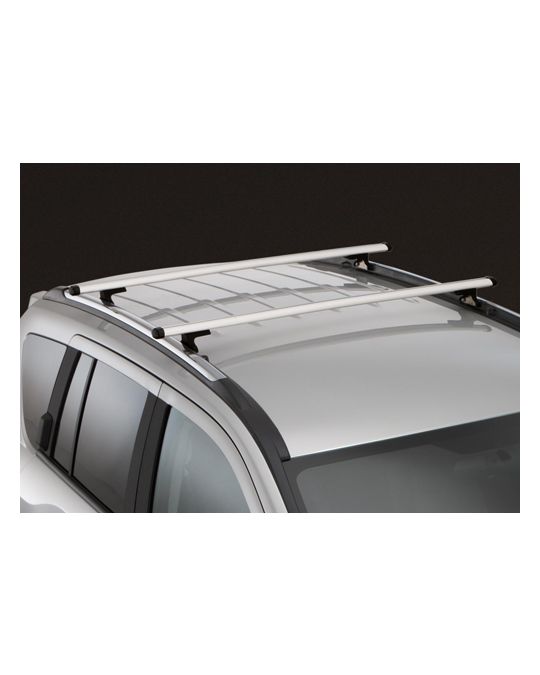 Mopar Roof Rack Cross Bars