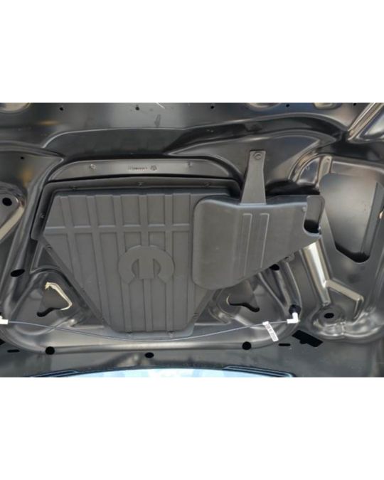 Mopar Hood Venting System T/A