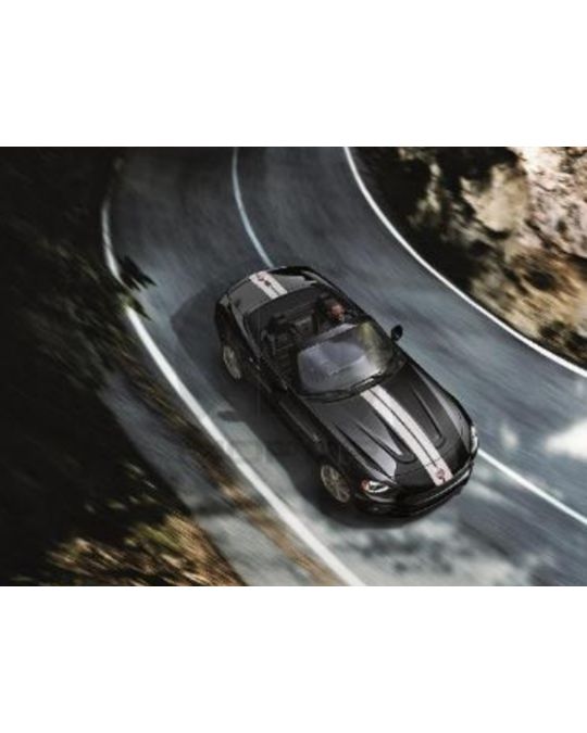 Mopar Decal - Double Rally Stripes - White