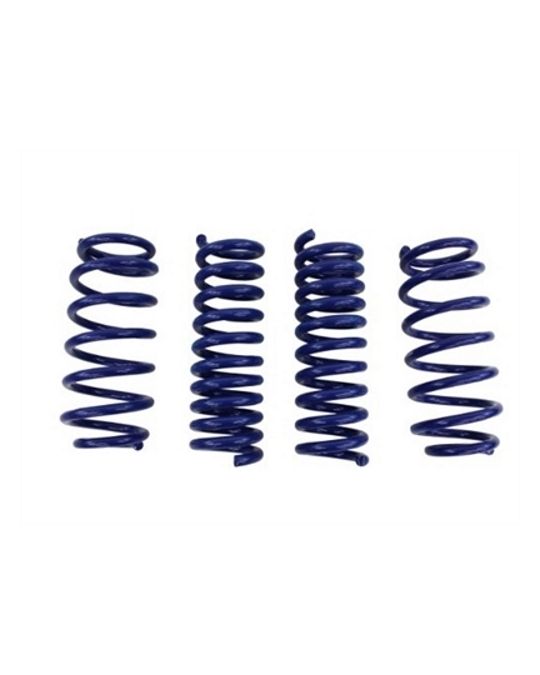 Mopar Performance Stage 1 Springs